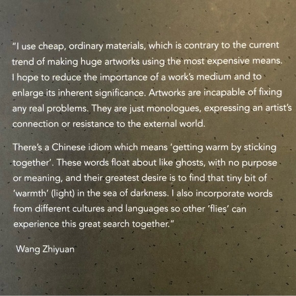 Contemporary Artist WANG ZHIYUAN Coffee Table Book Large Oversized Home Accent - Picture 8 of 16